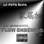 FLOW ENDÉMICO - FRONT COVER